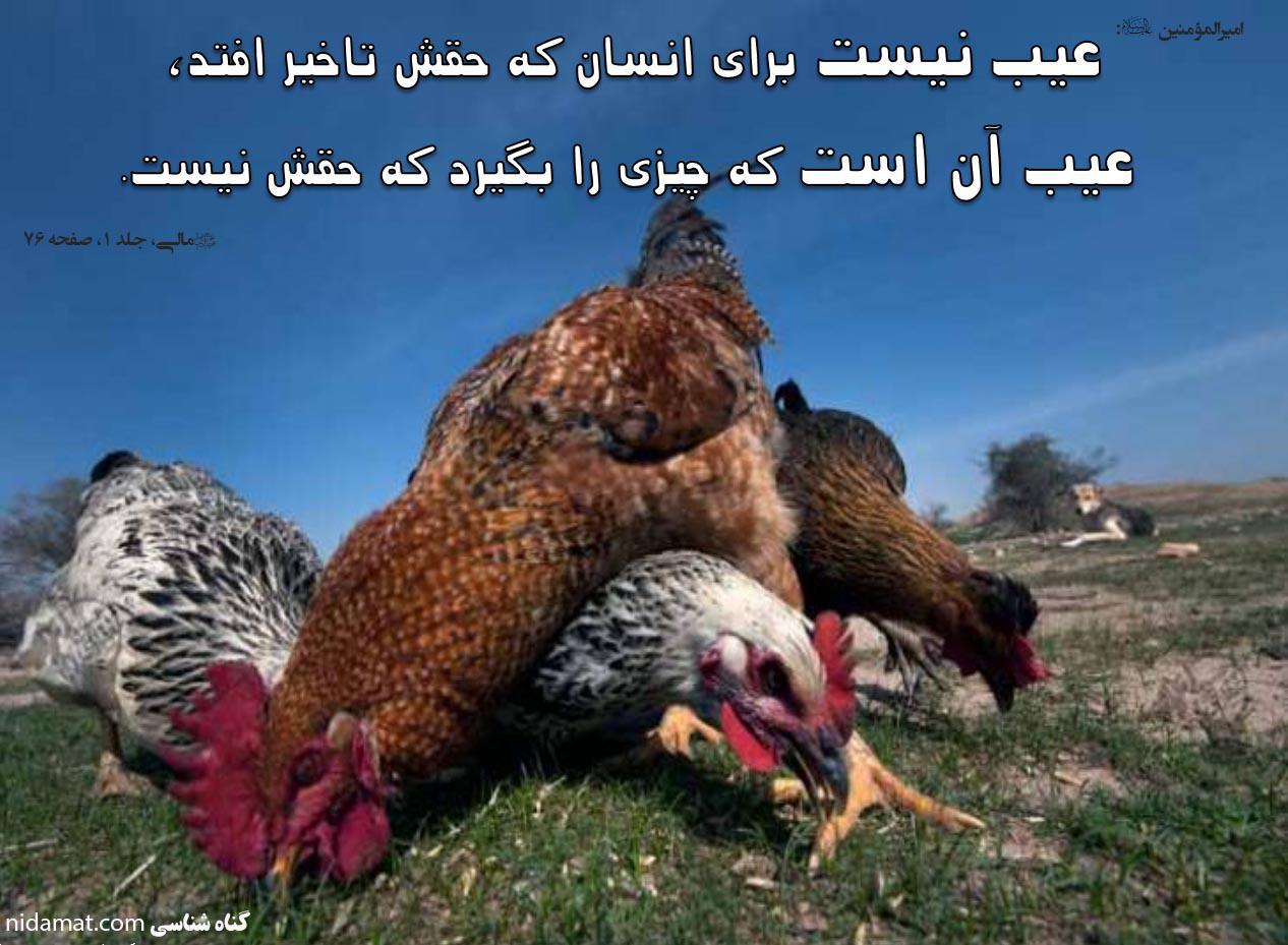 برای انسان عیب است که چیزی را بگیرد که حقش نیست!! برای انسان عیب است که چیزی را بگیرد که حقش نیست!!